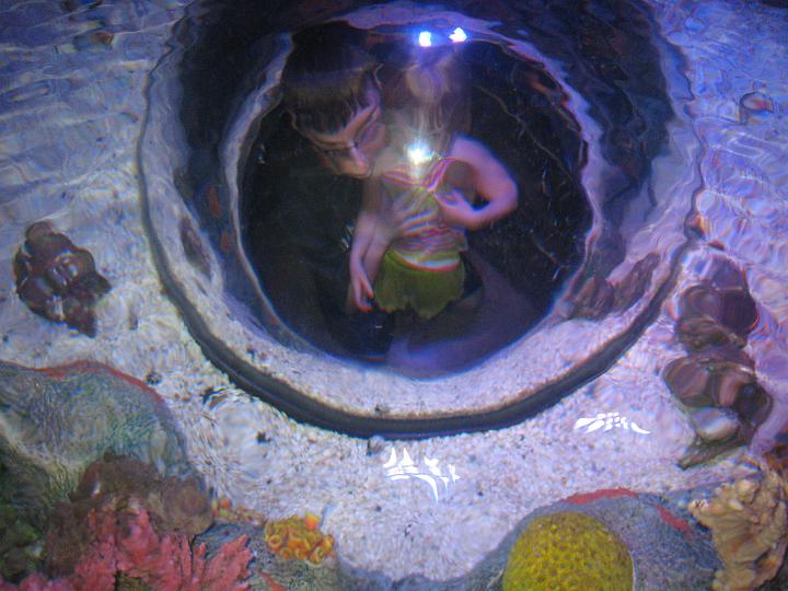 Aquarium 12.JPG